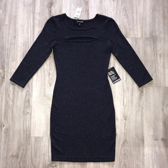 Express Dresses & Skirts - Express shiny dress